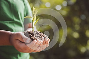 environment Earth Day In the hands of trees growing seedlings. Bokeh green Background child hand holding tree on nature field