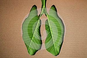 Environment and Ecology Conservation Concept. Green Wellness Lung Created by Leaf, Health Care, Medical, Coronavirus and Covid-19