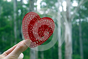 Environment: forest red paper heart