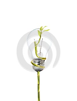 Environment friendly bulb