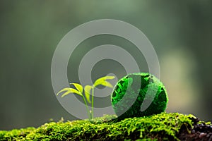 Environment. Green globe on grass moss in forest, Green planet with abstract defocused bokeh lights, Environmental conservation
