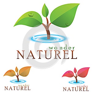 Environment Logo