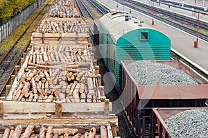 Environment, nature and deforestation forest - felling of trees. The concept of a global problem. Freight train loaded
