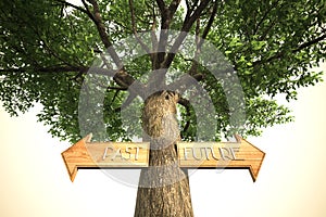 Environment past future tree sign