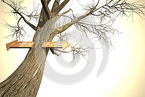 Environment past future tree sign