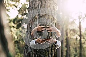 Environment people save the planet and stop deforestation concept with hidden couple of senior hugging with love an old big tree