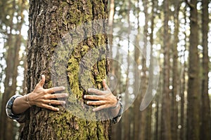 Environment and respect for Earth nature concept - adult woman hugging a green tree in the forest - save the planet and climate