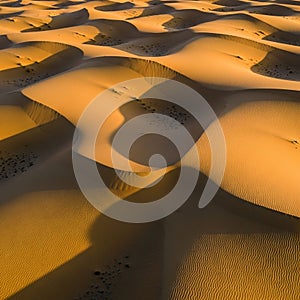 Environment, showcasing the nuanced interplay between light, shadow, and