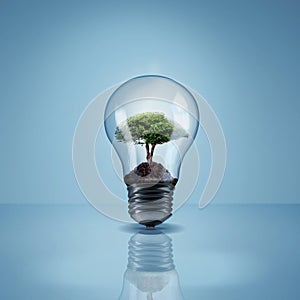 Environment, tree in light bulb and save energy, eco friendly and sustainability with renewable resources on blue