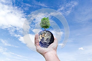 environment world in hands holding love earth and trees of Elements of this image furnished by NASA