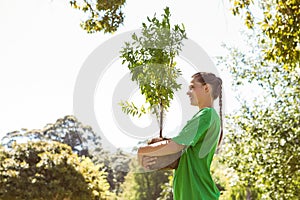 Environmental activist about to plant tree