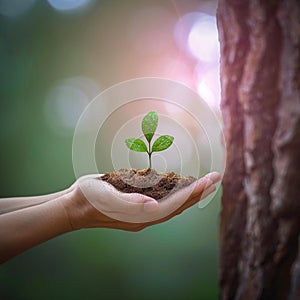 Environmental bond Hand and tree unite on a nature background