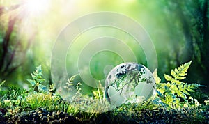 Environmental Concept- Globe On Moss In Forest -