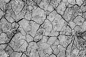 Environmental disaster. Global warming. Dried cracked land. Drought and lack of moisture in the soil.