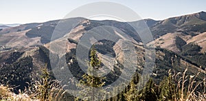 Environmental disaster in Narodny park Nizke Tatry in Slovakia - forest devastated by timber harvesting