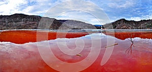 Environmental disaster. Panorama of a lake full with contaminate