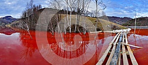 Environmental disaster. Panorama of a lake full with contaminate