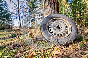 Environmental elapse in a forest, a left behind tire in pure nature. photo