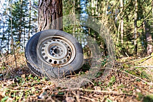 Environmental elapse in a forest, a left behind tire in pure nature.