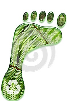 Environmental footprint