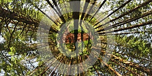 Environmental Forest Planet