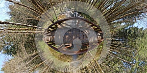 Environmental Forest Planet