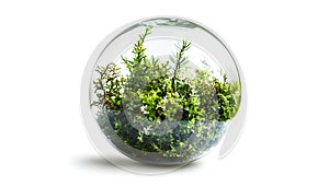 environmental glob with isolated background