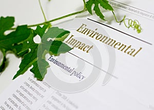 Environmental Impact photo