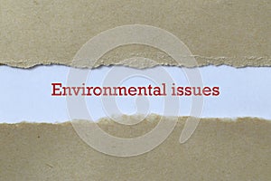 Environmental issues on paper