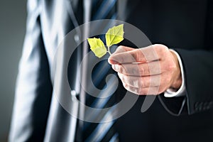 Environmental lawyer or politician with nature and environment friendly values. Business man in suit holding green leafs.