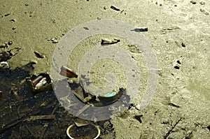 Environmental pollution