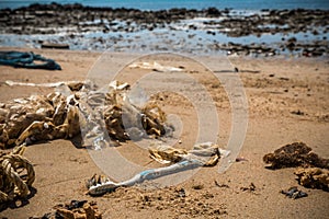 Environmental Pollution on the Beach in Thailand