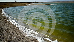 Environmental pollution, bloom of unicellular algae in a eutrophic reservoir, Ukraine photo