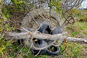 Environmental pollution the fly tipping of old tyres and rubbish dumped in the countryside