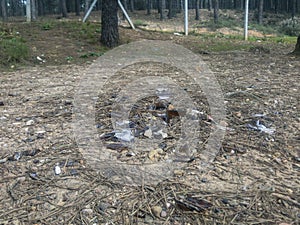 Environmental pollution in forests