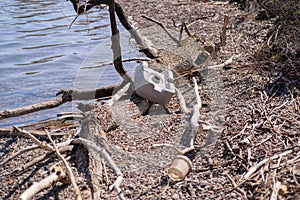 Environmental pollution.Garbage on the river, river pollution.