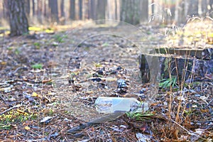 Environmental pollution by household waste. Plastic bottle lying around in coniferous forest in sun. Ð¡oncept of environmental