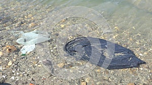 Environmental pollution. Plastic in the riverbed, seen through the river water.