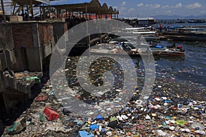 Environmental pollution