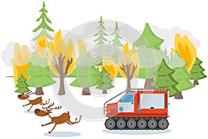 Environmental pollution tracked result, vector illustration. Wildfire, forest trees in flame, character animals run away