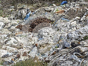 Environmental problem. Wastes which contaminate soils