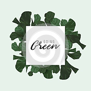 Environmental protection and awareness, green fiddle leaf fig with white going green lettering