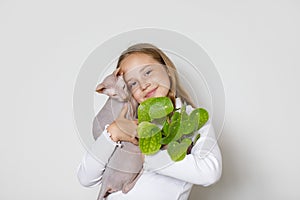 Environmental protection concept. Happy adorable child holding kitten and green plant in her hands on white background