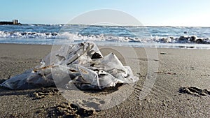 Environmental protection is necessary a plastic bags is not biodegradable, the sea and nature suffer from continuous pollution