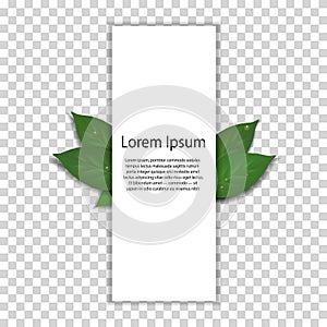 Environmental template with blank space and green leaves