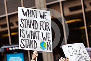 Environmentalist sign at demonstration