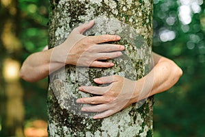 Environmentalist tree hugger is hugging wood trunk in forest