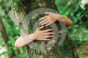 Environmentalist tree hugger is hugging wood trunk in forest