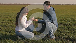 Environmentally friendly sprout. farmer and business woman holding in their hands green seedlings of wheat working in