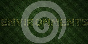 ENVIRONMENTS - fresh Grass letters with flowers and dandelions - 3D rendered royalty free stock image